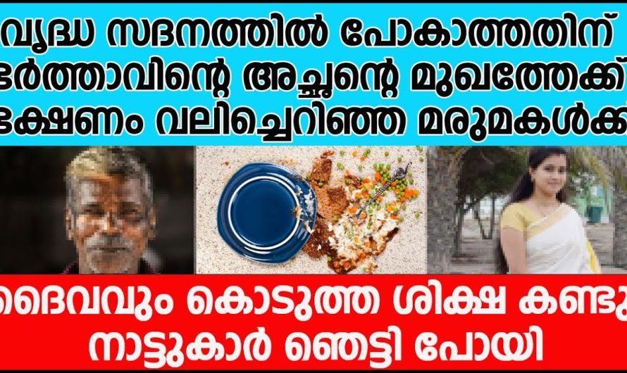 ഭർത്താവിന്റെ അച്ഛന്റെ മുഖത്തേക്ക് ഭക്ഷണം വലിച്ചെറിഞ്ഞ മരുമകൾക്ക് ദൈവവും കൊടുത്ത ശിക്ഷ കണ്ടോ