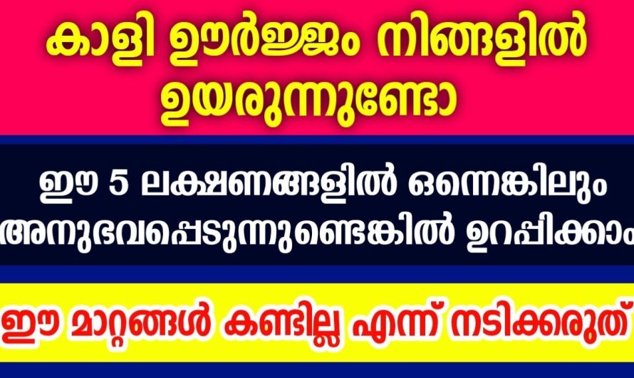 കാളി ദേവിയുടെ ഊർജ്ജം നിങ്ങളിൽ വർദ്ധിക്കുന്നതിന്റെ 5 ലക്ഷണങ്ങൾ… ഇവ അനുഭവപ്പെടുന്നുണ്ടോ ?