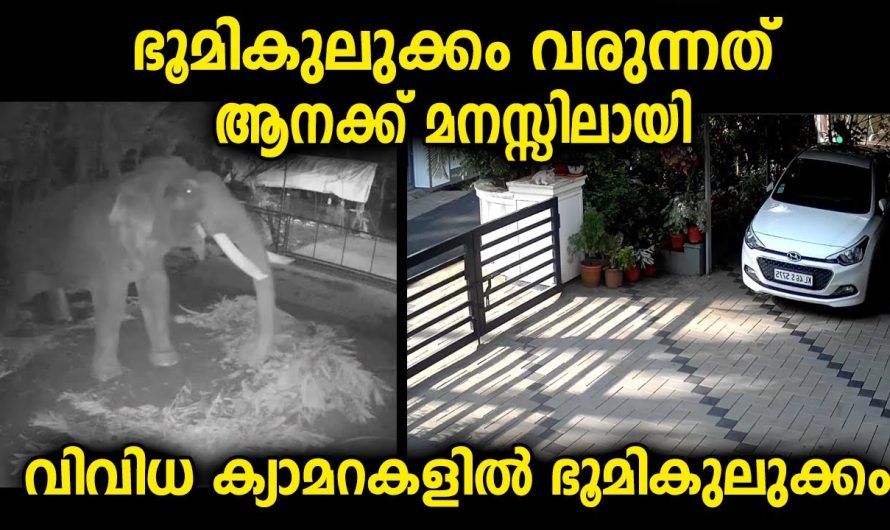 വീടുകളിൽ വെച്ച വിവിധ ക്യാമറകളിൽ പതിഞ്ഞ ദൃശ്യങ്ങളിൽ കാര്യം മനസ്സിലാവും