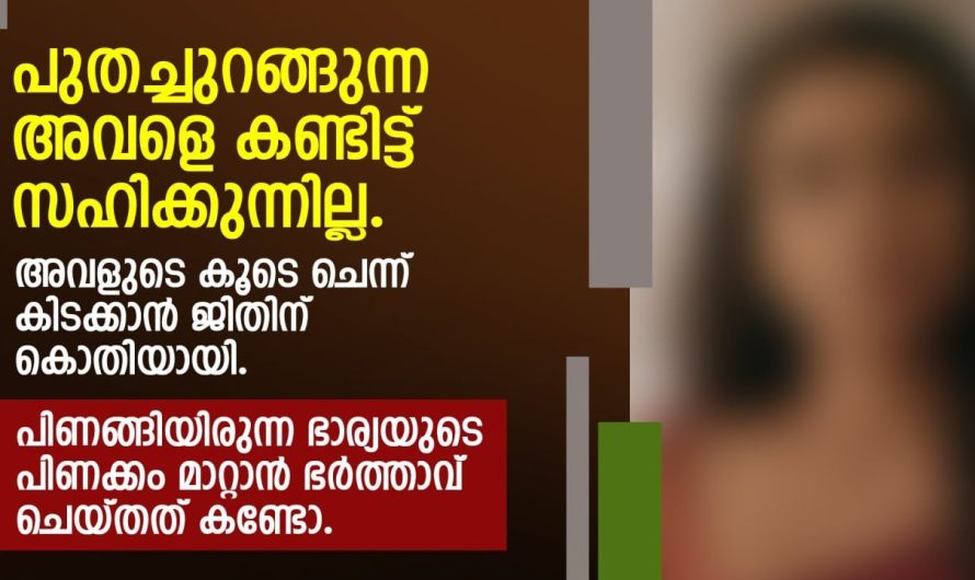 പിണങ്ങിയിരുന്ന ഭാര്യയുടെ പിണക്കം മാറ്റാൻ ഭർത്താവ് ചെയ്തത് കണ്ടോ….