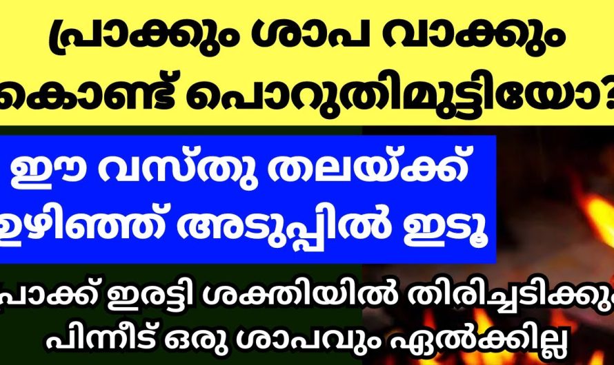 പ്രാക്ക്‌, വിളിച്ചപേക്ഷ കൊണ്ട് പൊറുതിമുട്ടിയവർ ഈ ഒറ്റ കാര്യം വീട്ടിൽ ചെയ്യൂ, പ്രാക്ക് തിരിച്ചടിക്കും