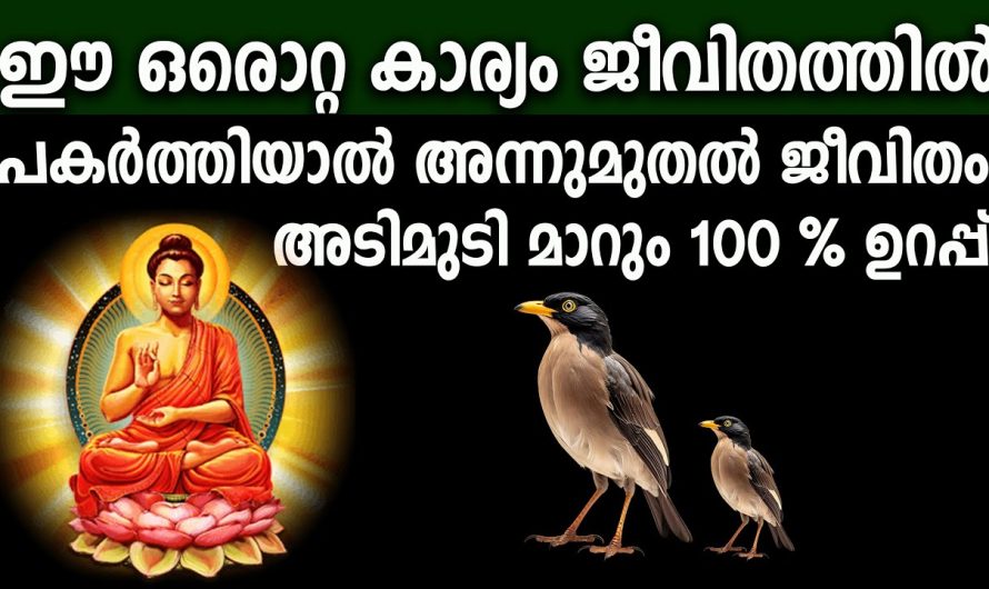 ഈ ഒരൊറ്റ കാര്യം ജീവിതത്തിൽ പകർത്തിയാൽ അന്നുമുതൽ ജീവിതം അടിമുടി മാറും 100 % ഉറപ്പ്