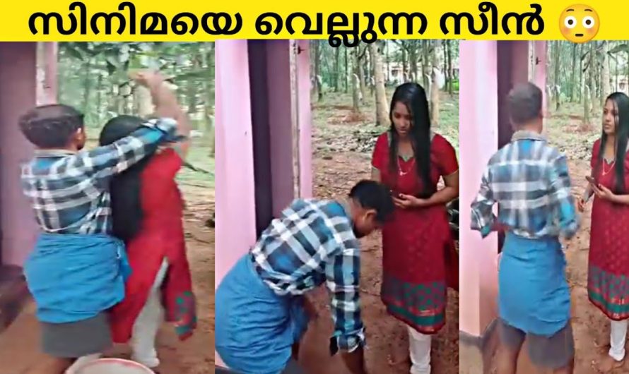 നാട്ടുകാര് കണ്ടിട്ട് എന്ത് കാര്യം, ഇവർ വേറേ ലെവൽ