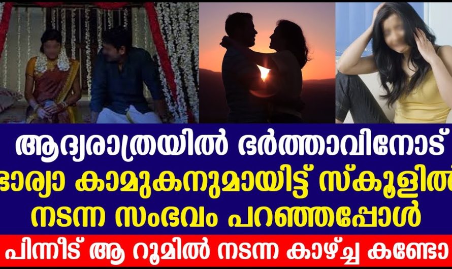 ആദ്യ.രാത്രയിൽ ഭർത്താവിനോട് ഭാര്യാ കാമുകനുമായിട്ട് സ്കൂളിൽ നടന്ന സംഭവം പറഞ്ഞപ്പോൾ..