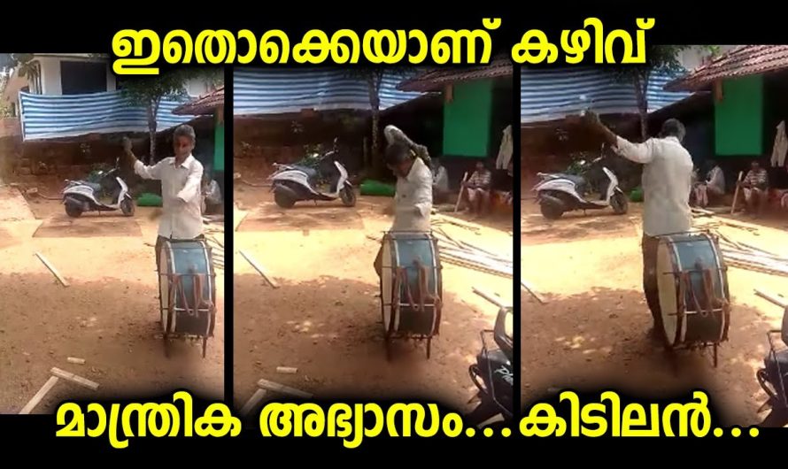 ഇദ്ദേഹത്തിന്റെ ഈ കഴിവ് ആരും നോക്കി കേട്ട് നിന്നുപോകും…അനുഗ്രഹീത കലാകാരൻ