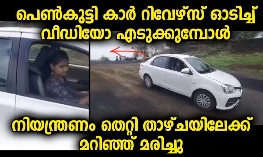 വീഡിയോ എടുക്കാൻ വേണ്ടി പെൺകുട്ടി കാർ പിന്നോട്ട് ഓടിച്ചപ്പോൾ അപ്രതീക്ഷിതമായി കൈവിട്ടുപോയി