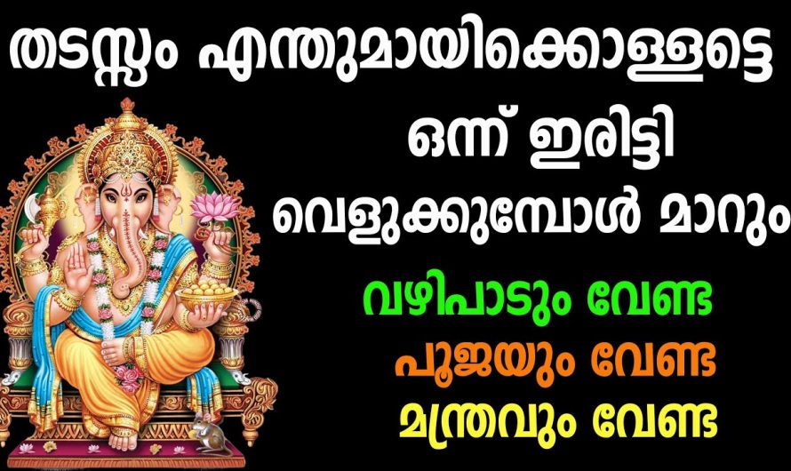 ഈ വിദ്യ ചെയ്‌താൽ എത്ര വലിയ തൊഴിൽ തടസവും പുഷ്പം പോലെ ഭഗവാൻ മാറ്റിതരും