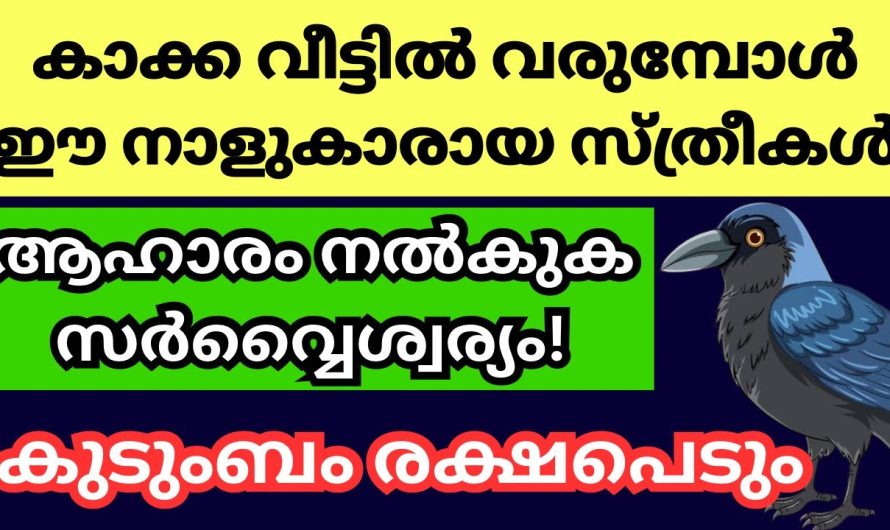 സ്ത്രീകൾ പിതൃ പ്രീതിക്ക് കാക്കയ്ക്ക് ആഹാരം നൽകേണ്ട രീതി ഇതാണ്, സർവ്വ ഐശ്വര്യവും ലഭിക്കും