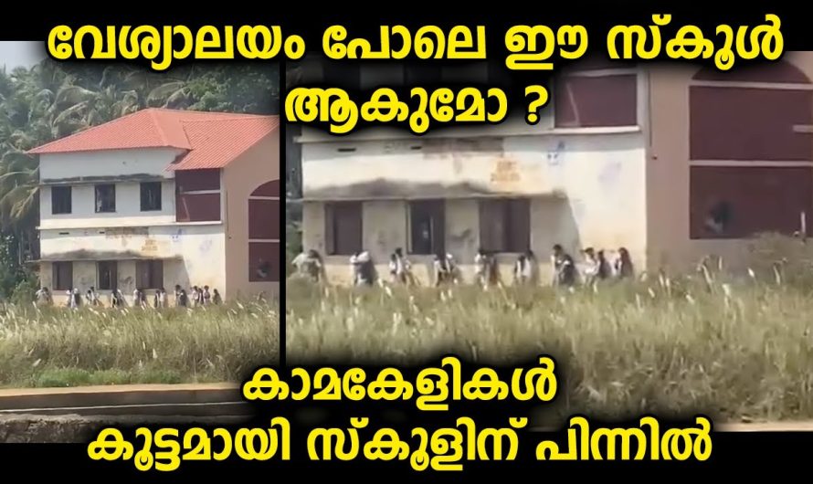 പെൺകുട്ടികളും ആൺകുട്ടികളും സ്കൂളിന് പിന്നിൽ അവതരിപ്പിക്കുന്ന കലാപരിപാടികൾ