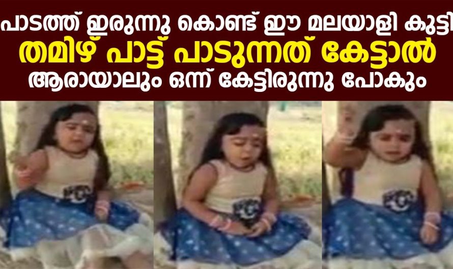 പാടത്ത് ഇരുന്നു കൊണ്ട് ഈ മലയാളി കുട്ടി തമിഴ് പാട്ട് പാടുന്നത് കേട്ടാൽ ആരായാലും ഒന്ന് കേട്ടിരിക്കും