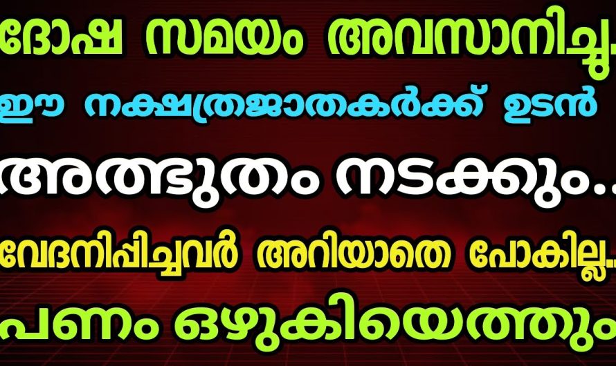 ഈ നക്ഷത്രജാതകർക്ക് ഇനി ശുക്രൻ അടിച്ചു, ഇനി വൻ ഉയർച്ചയാണ്..