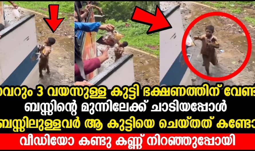 വെറും 3 വയസുള്ള കുട്ടി ഭക്ഷണത്തിന് വേണ്ടി ബസ്സിന്റെ മുന്നിൽ വന്നു ചെയ്തത് കണ്ടോ