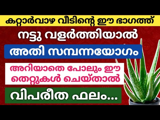 കറ്റാർവാഴ വീടിന്റെ ഈ ഭാഗത്ത്‌ വളർത്തിയാൽ… അതി സമ്പന്നയോഗവും ഭാഗ്യവും വീട് തേടി വരും!!