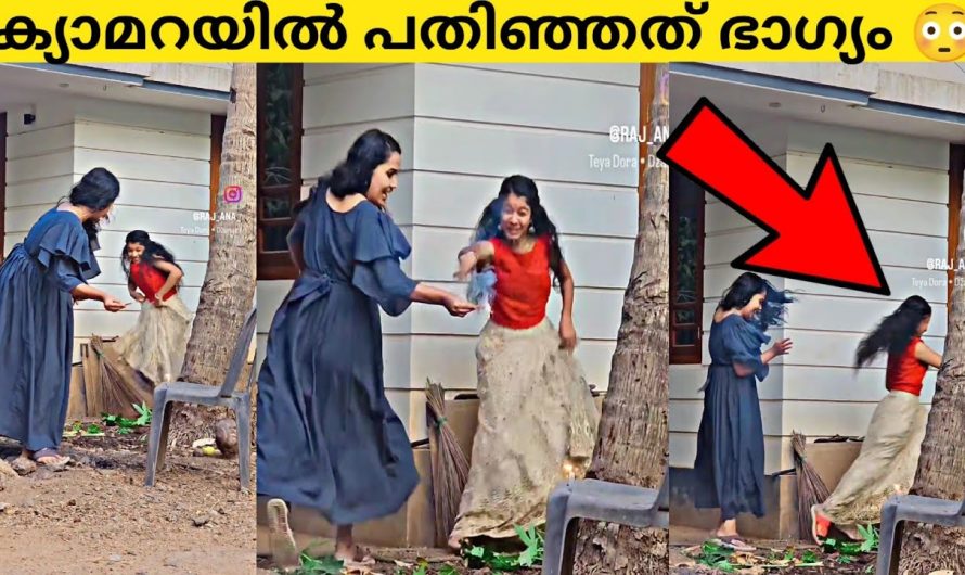 ചേച്ചിയാള് കൊള്ളാമല്ലോ,ഇവർ രണ്ടുപേരും ചെയ്തത്