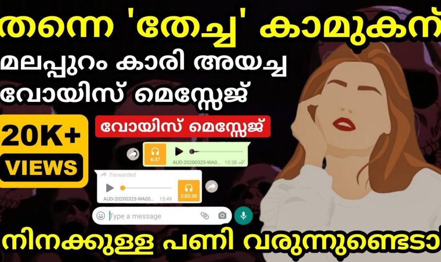 കാമുകിയുടെ വോയിസ്‌ മെസ്സേജ് വൈറൽ