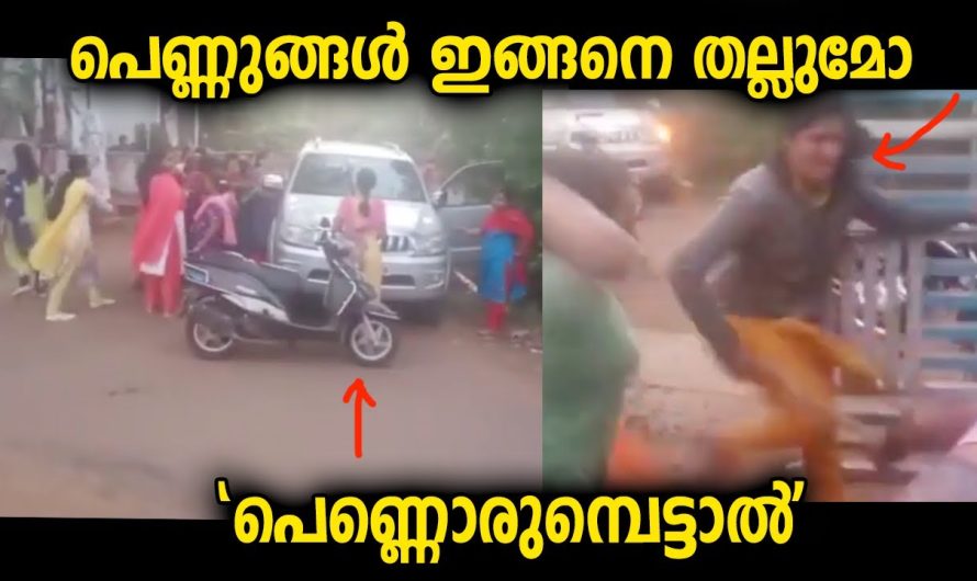 പെണ്ണുങ്ങൾ കൂടിയാൽ ഇങ്ങനെയൊക്ക ചെയ്യുമോ… സ്ത്രീകളും തമ്മിൽ നടന്നത്