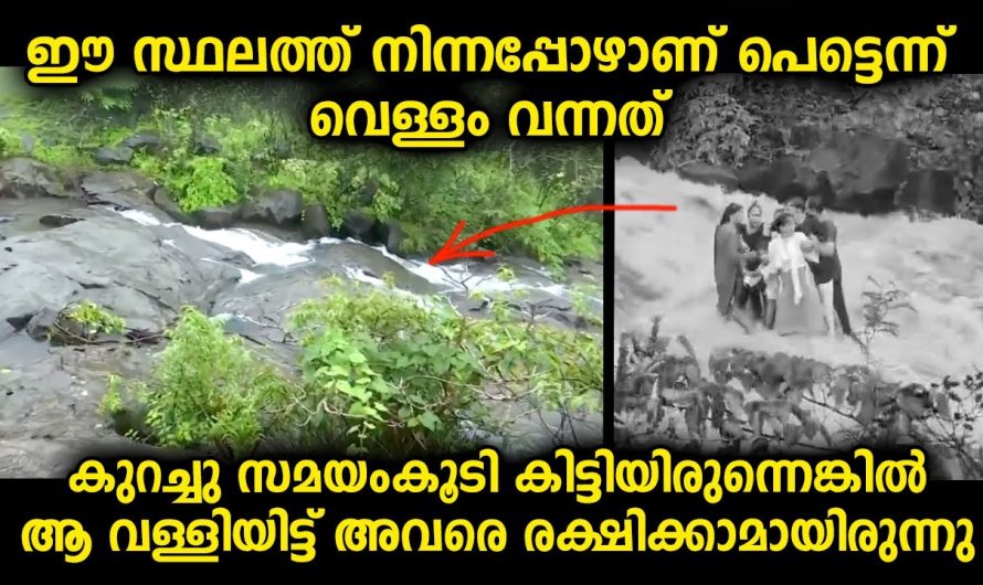 ഇതേപോലുള്ള സ്ഥലത്ത് പോകുമ്പോൾ സൂക്ഷിച്ചു പോണം ഇല്ലെങ്കിൽ മരണംവരെ സംഭവിച്ചേക്കാം വീഡിയോ കണ്ടു നോക്കൂ…