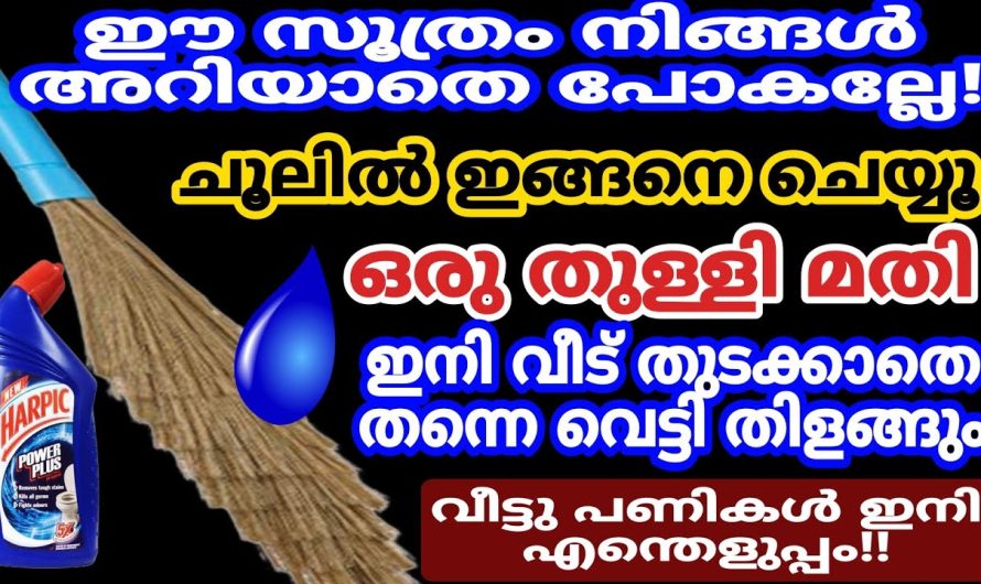 ഒരു തുള്ളി മതി ഇതുപോലെ ചെയ്തു നോക്കൂ…