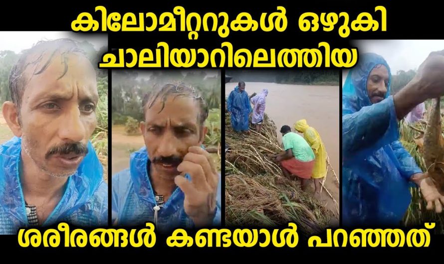 വയനാട്ടിൽ നിന്നുമുള്ള വെള്ളം ചാലിയാറിൽ എത്തിയപ്പോൾ നാട്ടുകാർ കണ്ട കാഴ്ച