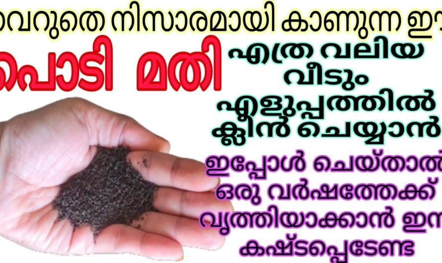 എത്ര വലിയ വീടും ഈസി ആയി ക്ലീൻ ചെയ്യാം|ഇനി മാറാല യോട് വിട