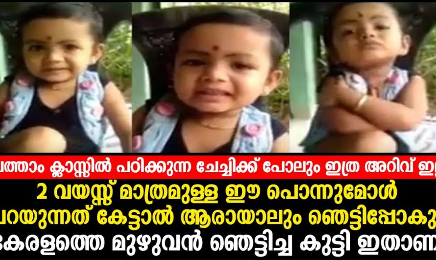 2 വയസ്സ് മാത്രമുള്ള ഈ പൊന്നുമോൾ പറയുന്നത് കേട്ടാൽ ആരായാലും ഞെട്ടിപ്പോകും