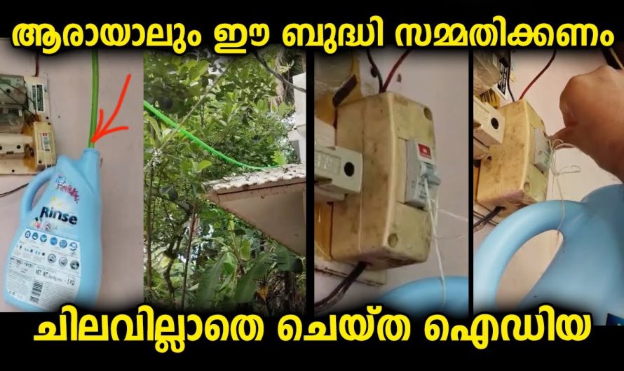 ആരായാലും വീട്ടിൽ ചിലവില്ലാതെ ചെയ്ത ഈ ഐഡിയയുടെ പിന്നിലെ ബുദ്ധി സമ്മതിക്കണം