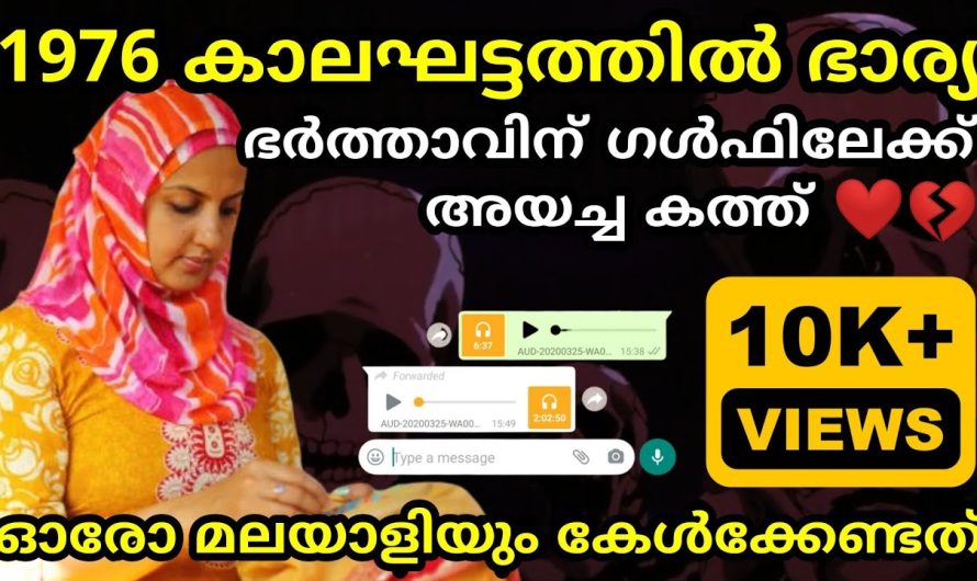 ഇങ്ങനെ ഒരു കാലഘട്ടം ഉണ്ടായിരുന്നു… ഒരിക്കലും തിരിച്ചു കിട്ടാത്ത കാലഘട്ടം..