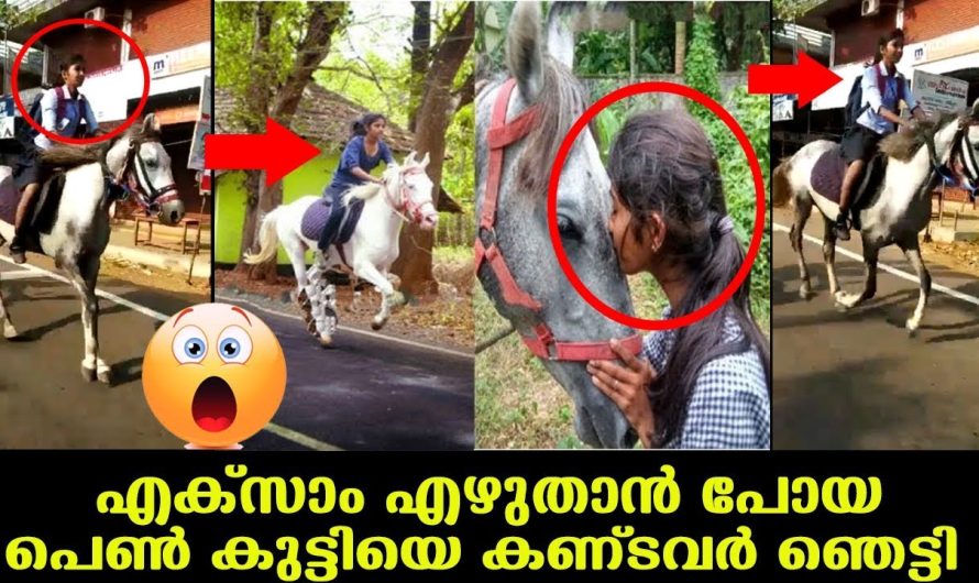 പെൺകുട്ടിയുടെ യാത്ര കണ്ടവർ പറഞ്ഞു മരണ മാസ്സ് എന്ന് … നിങ്ങളും കണ്ടു നോക്കൂ