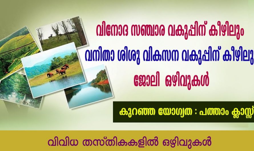 സംസ്ഥാന വിനോദ സഞ്ചാര വകുപ്പിന് കീഴിലും  വനിതാ ശിശു വികസന വകുപ്പിന് കീഴിലും  ജോലി  ഒഴിവുകൾ