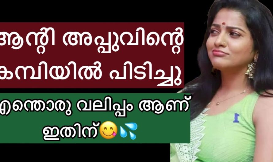 അപ്പുവിന്റെയും ആന്റിയുടെയും കഥ…