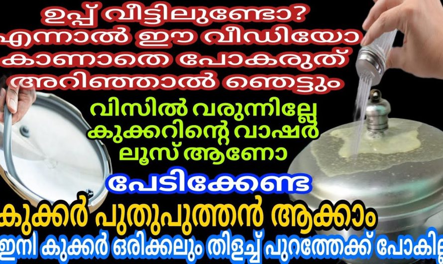 ഉപ്പുകൊണ്ടുള്ള ഈ സൂത്രം ആരും പറഞ്ഞു തരാത്ത സൂത്രം| ഈ സൂത്രം അറിയാതെ പോകരുത്|