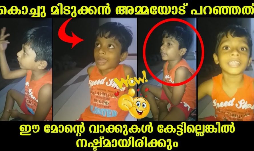 അമ്മയോട് ഈ കൊച്ചു മിടുക്കൻ പറഞ്ഞ വാക്കുകൾ കേട്ടാൽ വളരെയേറെ ചിന്തിപ്പിക്കും