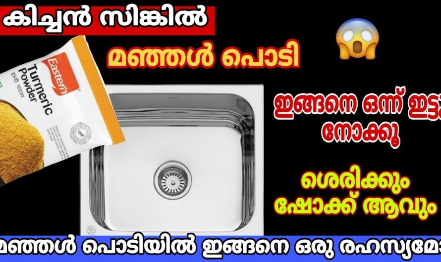 മഞ്ഞൾ പൊടിയിൽ ഇങ്ങനെ ഒരു രഹസ്യമോ ശരിക്കും ഞെട്ടിപ്പോവും