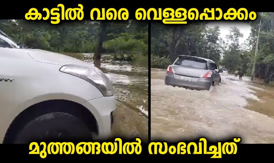 നാട്ടിൽ മാത്രമല്ല കാടുകളിലും ഇതാണാവസ്ഥ…യാത്രകളിൽ വാഹനങ്ങൾ മുങ്ങാതെ ശ്രദ്ധിക്കുക