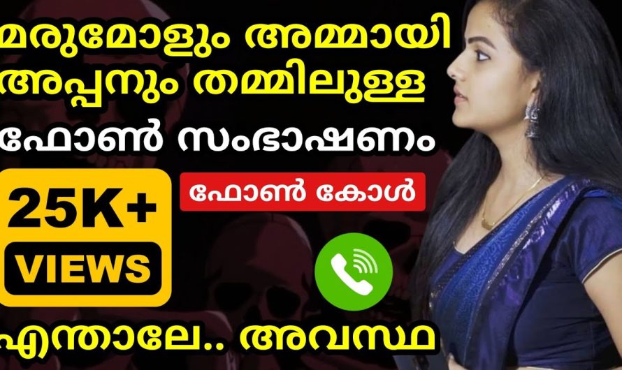 മരുമകളും അമ്മായി അപ്പനും തമ്മിലുള്ള ഫോൺ സംഭാഷണം | പ്രായമായാൽ ഇതാവും അവസ്ഥ!