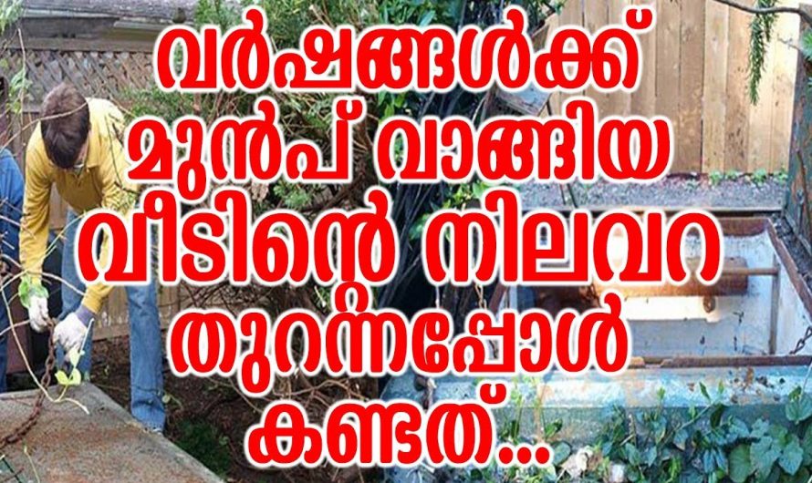 വർഷങ്ങൾക്ക് മുൻപ് വാങ്ങിയ വീടിന്റെ നിലവറ തുറന്നപ്പോൾ കണ്ടത്…