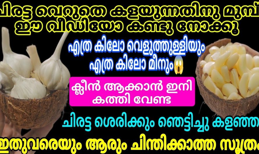 ചിരട്ട സൂത്രം അറിയാതെ പോയല്ലോ