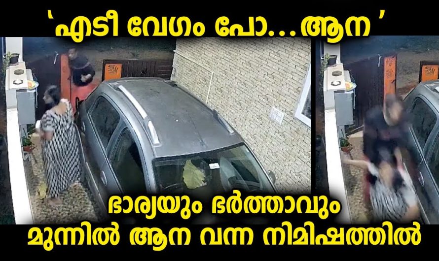 ഭാര്യയും ഭർത്താവും വീടിന് പുറത്തിറങ്ങിയപ്പോൾ കണ്ടത്…ദമ്പതികൾ വീടിനുള്ളിൽ കയറിയതിനാൽ രക്ഷപ്പെട്ടു