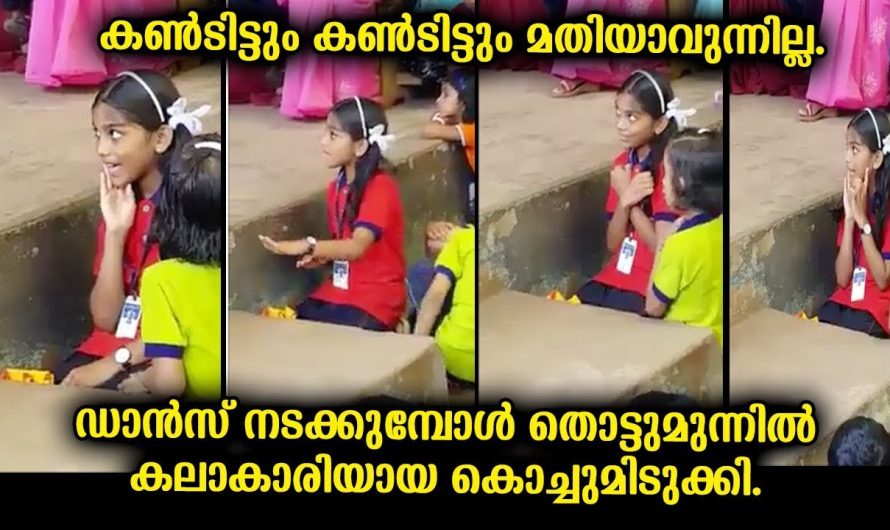 ക്യാമറ കണ്ണിൽ കുടിങ്ങിയ കലാകാരി ,കണ്ടിട്ടും കണ്ടിട്ടും മതിയാവുന്നില്ല