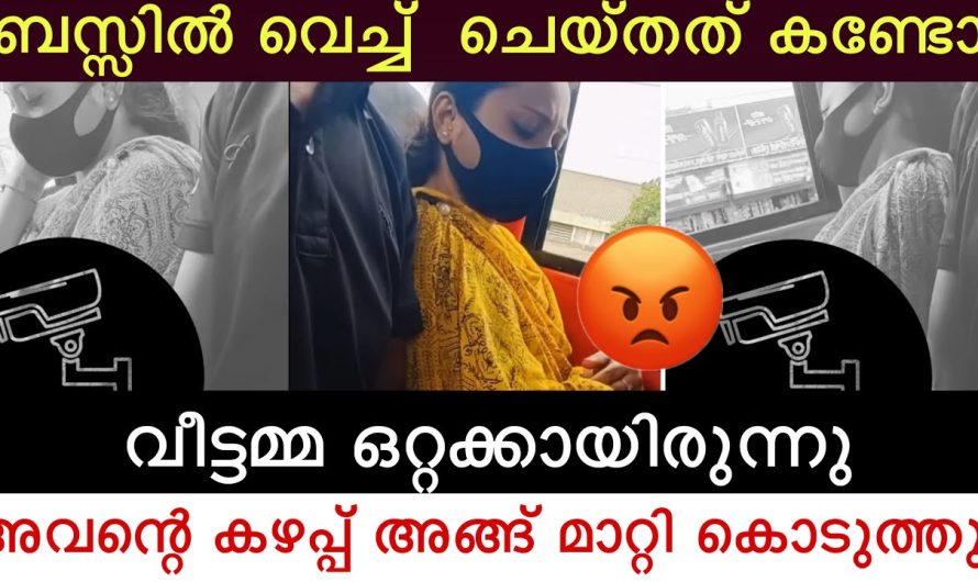 വീട്ടമ്മയെ ബസ്സിൽ വെച്ച് ചെയ്തത് കണ്ടോ 😡 അവന്റെ ക.ഴ.പ്പ് അങ്ങ് മാറ്റി കൊടുത്തു