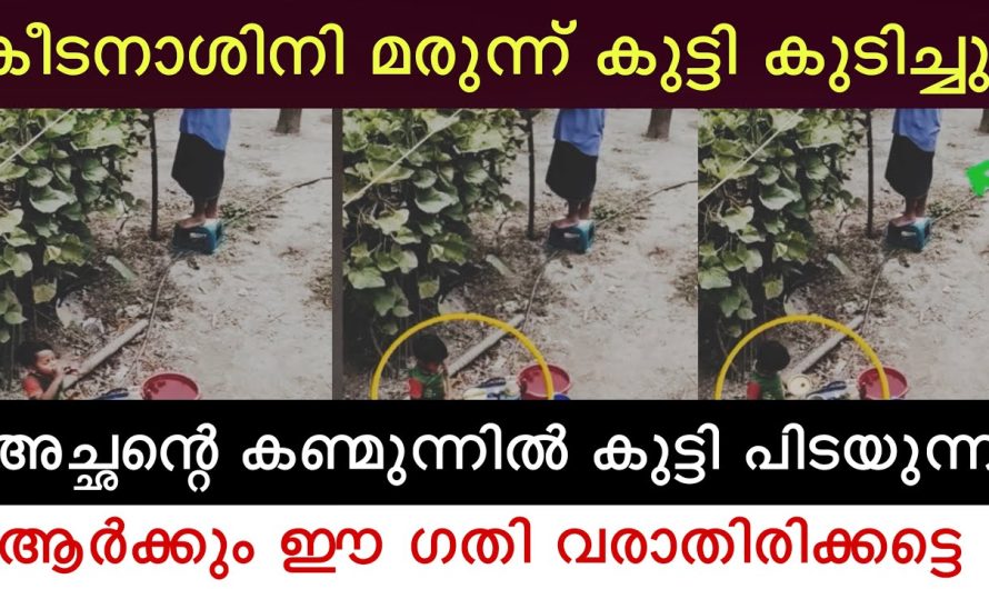 കുട്ടി കീടനാശിനി കുടിച്ചു😳 മനകട്ടി ഉള്ളവർ മാത്രം കാണുക