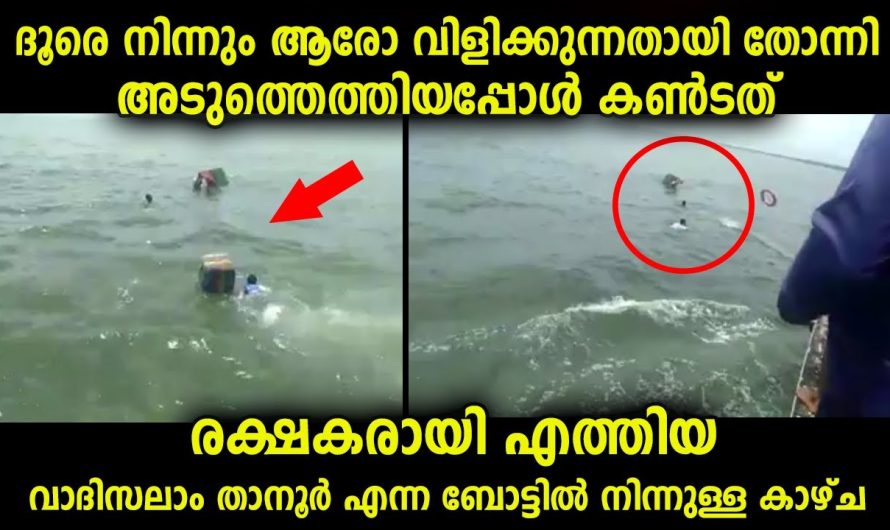 ദൂരെ ആരോ കൈകൊണ്ട് വിളിക്കുന്നതായി കണ്ടു… എന്താണെന്ന് അറിയാൻ അടുത്ത എത്തുബോഴേകും കാണുന്നത്