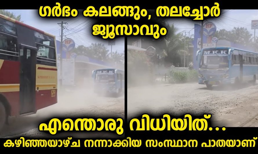 ഇതിലൂടെ വാഹനങ്ങളിൽ പോകുന്നവരുടെ അനുഭവം ചോദിച്ചാൽ അവർ പറയും