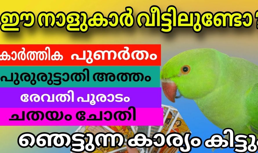 ഈ നാളുകർ വീട്ടിലുണ്ടോ ? ഇത്രയധികം ഭാഗ്യമുള്ളവർ വെറേ ഉണ്ടാകില്ല ,