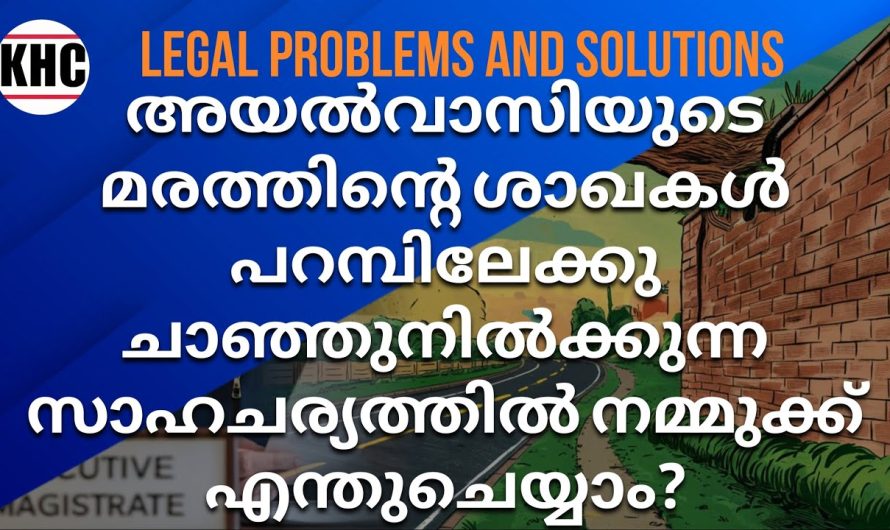 അയൽവാസിയുടെ മരത്തിന്റെ ശാഖകൾ പറമ്പിലേക്കു ചാഞ്ഞുനിൽക്കുന്ന സാഹചര്യത്തിൽ നമ്മുക്ക് എന്തുചെയ്യാം?