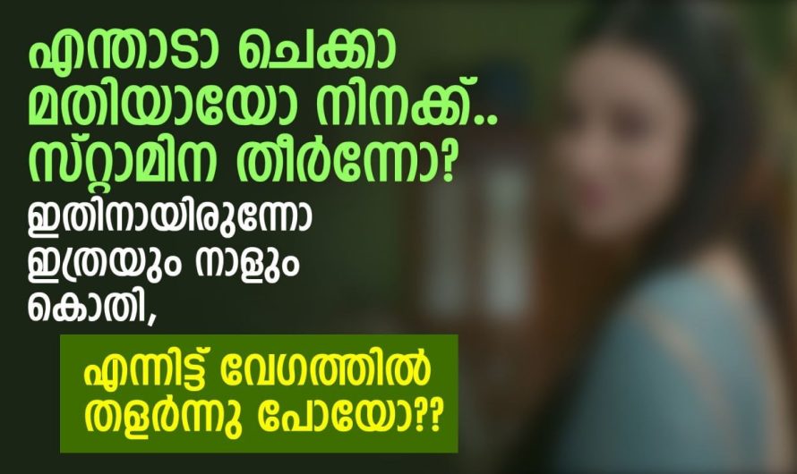 എന്താടാ ചെക്കാ മതിയായോ നിനക്ക്‌, സ്റ്റാമിന തീർന്നോ? ഇതിനായിരുന്നോ ഇത്രയും