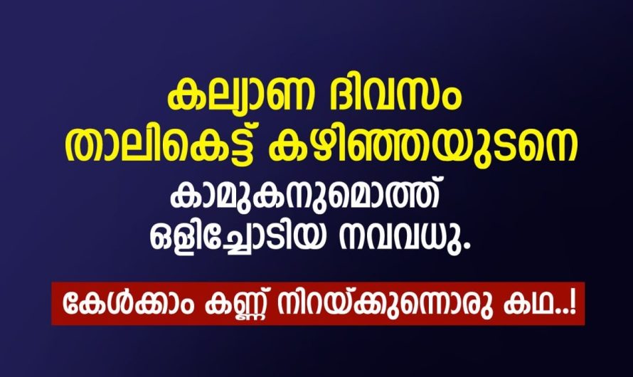 കല്യാണ ദിവസം താലികെട്ട് കഴിഞ്ഞ ഉടനെ കാമുകനും ഒത്തു ഒളിച്ചോടി നവവധുവിനെ സംഭവിച്ചത്..