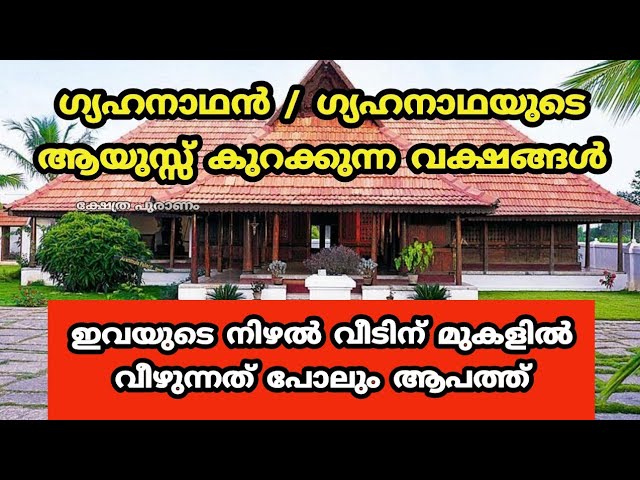 ഈ മരങ്ങൾ വീട്ടിൽ ഉണ്ടെങ്കിൽ എത്ര പ്രാർത്ഥിച്ചാലും ഫലം ലഭിക്കില്ല..