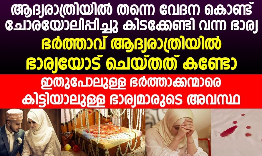 ഇതുപോലുള്ള ഭർത്താക്കന്മാരെ കിട്ടിയാലുള്ള ഭാര്യമാരുടെ അവസ്ഥ