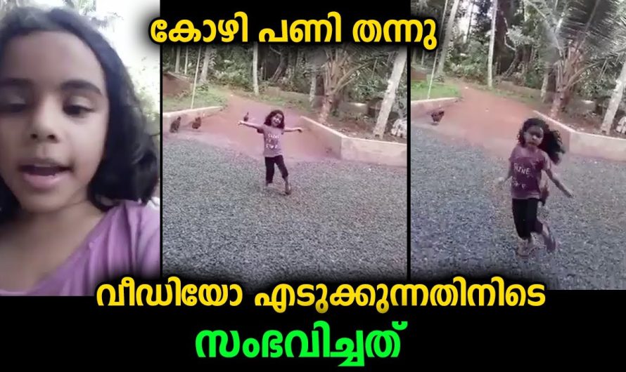 വീഡിയോ എടുക്കുന്നതിനിടെ നടന്ന രസകരമായ സംഭവം…